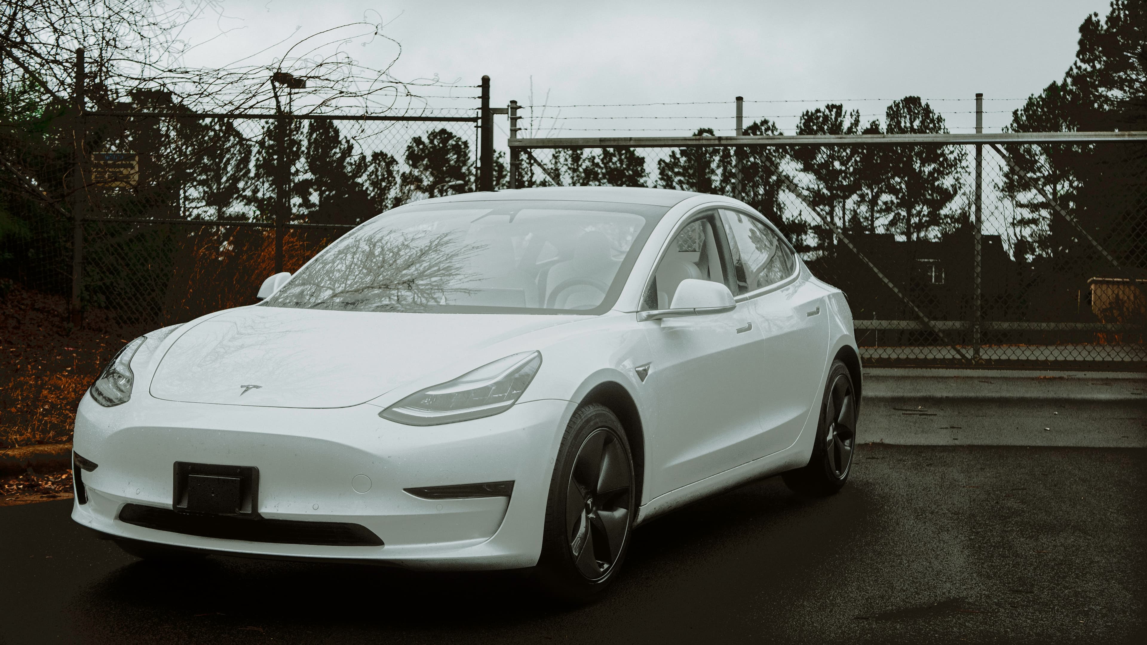 White Tesla full detail and wax — Sugar Land